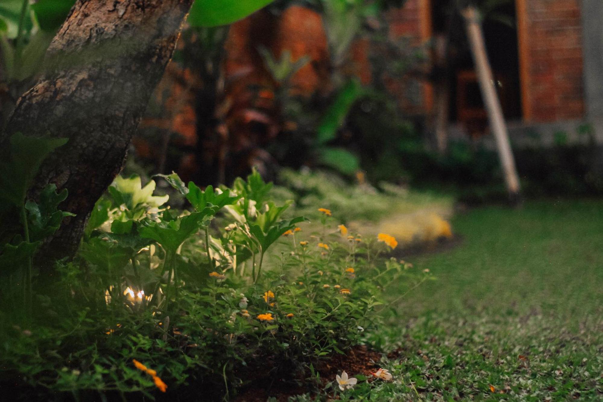 Govardan Home Stay Canggu Exteriér fotografie